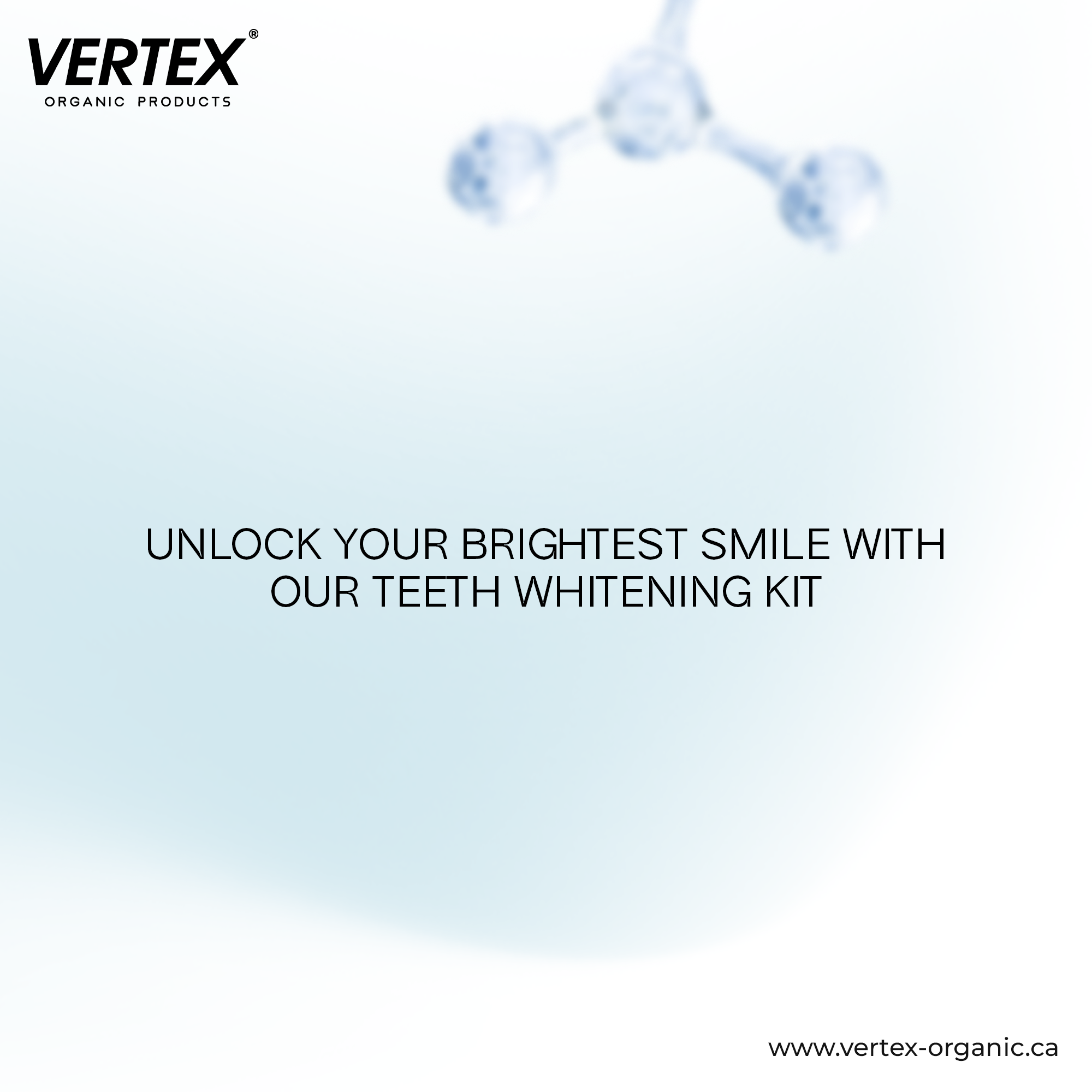 vertex12_05